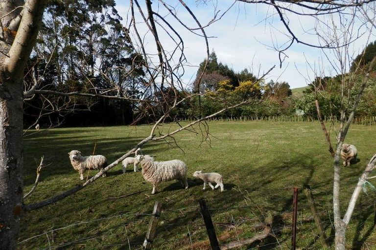 Photo of property in 404 Mangatarere Valley Road, West Taratahi, Carterton, 5791