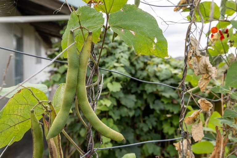 Photo of property in 12 George Street, Te Aroha, 3320