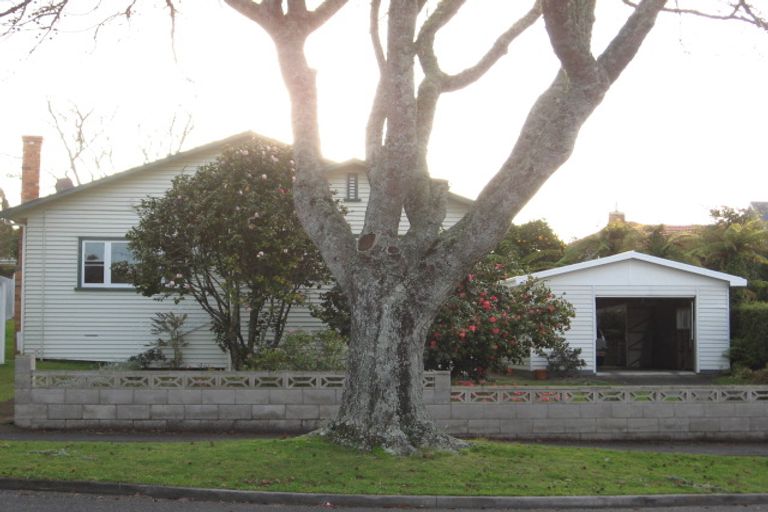 Photo of property in 13 Masters Avenue, Hillcrest, Hamilton, 3216