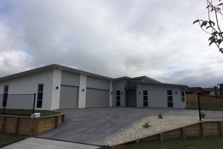 Photo of property in 49 Ritchie Street, Te Aroha, 3320