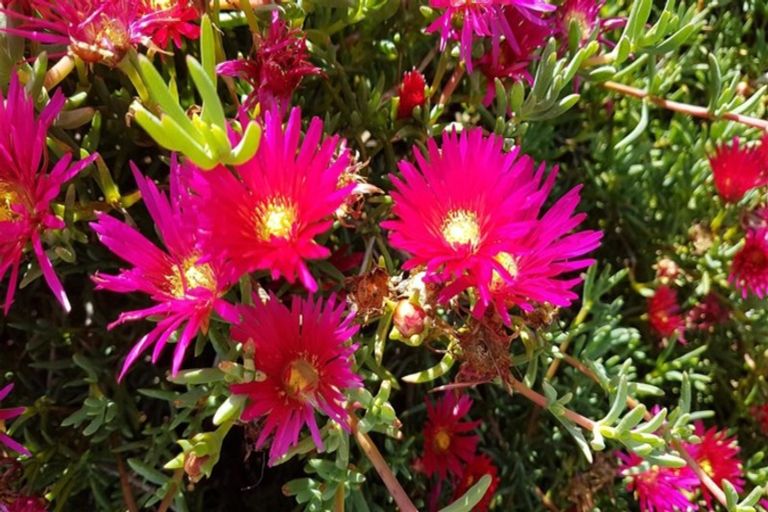 Photo of property in 6 Elley Drive, Carters Beach, Westport, 7825