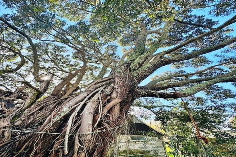 Photo of property in 66a Walker Road, Awanui, 0486