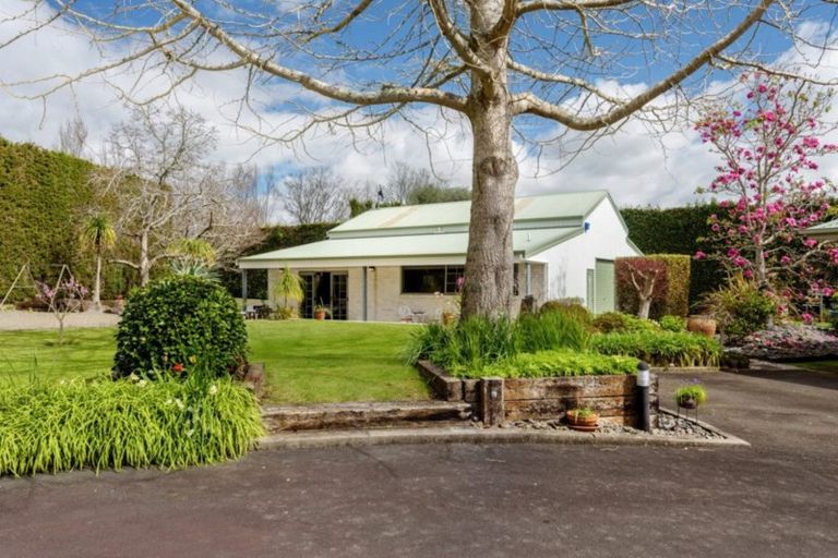 Photo of property in 16 Plane Tree Lane, Tauriko, Tauranga, 3110