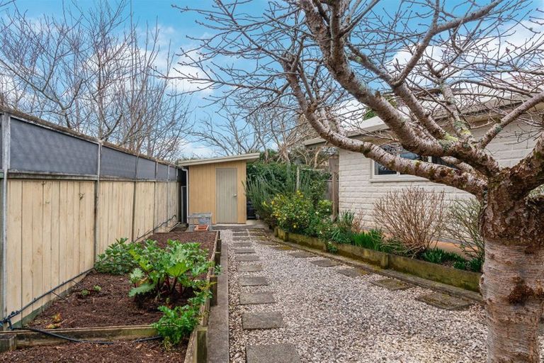 Photo of property in 12 Rewa Place, Lansdowne, Masterton, 5810