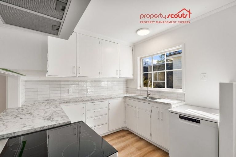 Photo of property in 3 Shortland Place, Havelock North, 4130