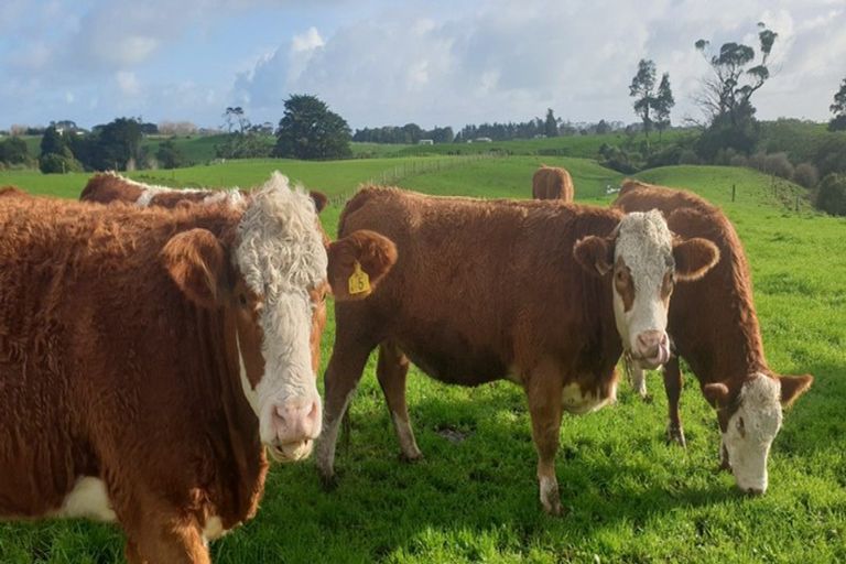 Photo of property in 412b Corbett Road, Lepperton, New Plymouth, 4373