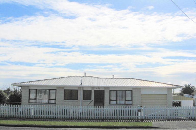 Photo of property in 147 Bath Street, Levin, 5510