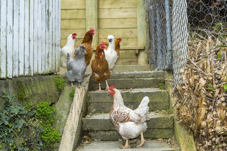 Photo of property in 3 Lord Street, Stokes Valley, Lower Hutt, 5019