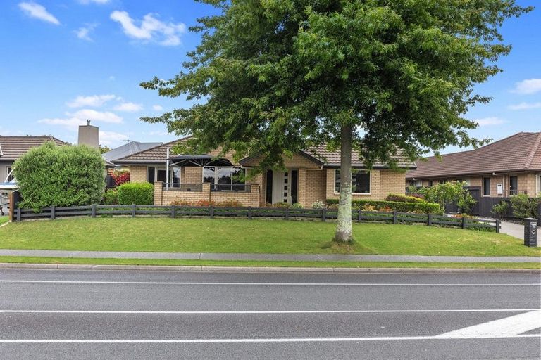 Photo of property in 194 Carmichael Road, Bethlehem, Tauranga, 3110