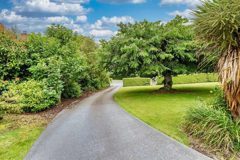 Photo of property in 8 Willis Street, Gore, 9710