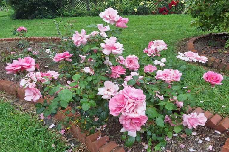 Photo of property in 917 Port Albert Road, Wellsford, 0973