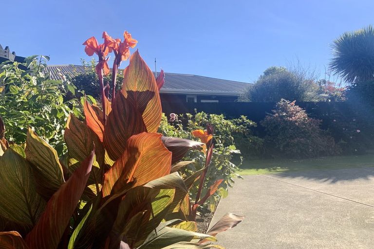 Photo of property in 55b Halswell Road, Hillmorton, Christchurch, 8025