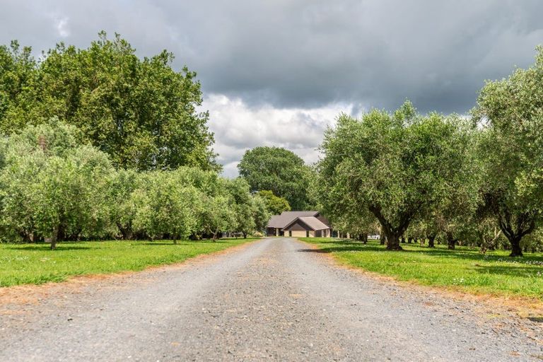 Photo of property in 3974 Ohaupo Road, Ohaupo, 3881