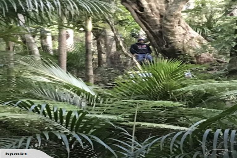 Photo of property in 19 Waikarekare Lane, Karekare, Auckland, 0772