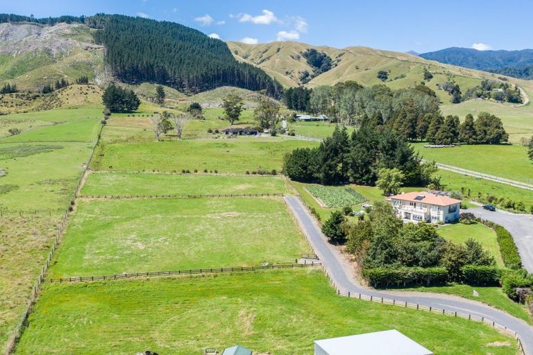 Photo of property in 51 Gladstone Road, Levin, 5571