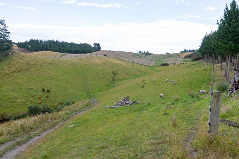 Photo of property in 22 Halcombe Road, Feilding, 4702