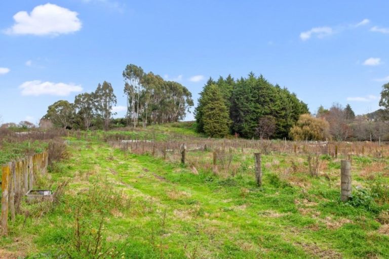 Photo of property in 131e Hogg Road, Rotoma, Whakatane, 3192
