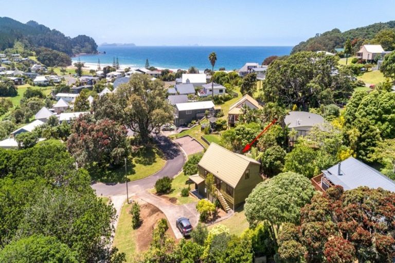 Photo of property in 119 The Grove, Onemana, Whangamata, 3691