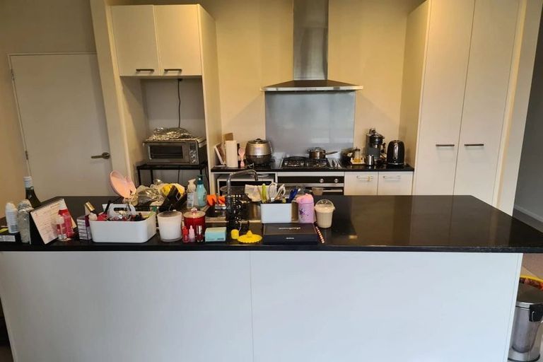 Photo of property in 35 Lemon Tree Lane, Flat Bush, Auckland, 2019