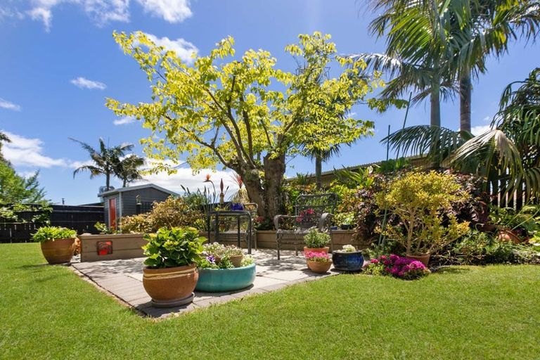 Photo of property in 244a King Street, Whakatane, 3120