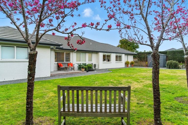 Photo of property in 5 Mahy Way, Leamington, Cambridge, 3432