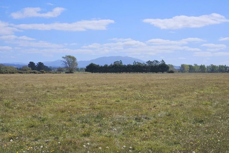 Photo of property in 175 Harleston Road, Sefton, 7477