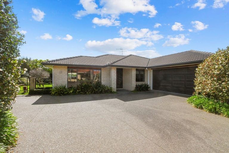 Photo of property in 47 Thomas Moore Place, Pukekohe, 2120