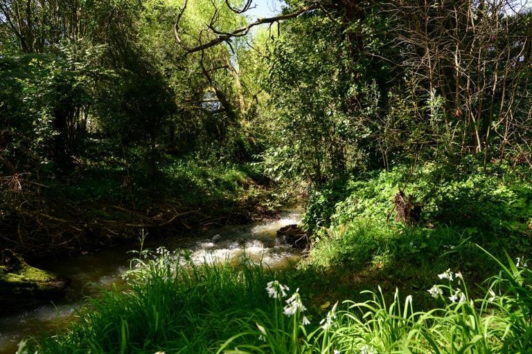 Photo of property in 431 Scotsman Valley Road, Tauwhare, Morrinsville, 3371