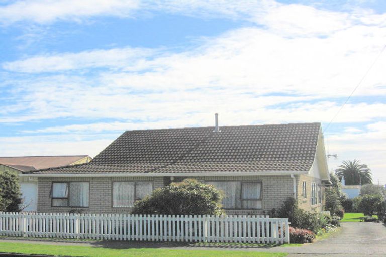 Photo of property in 159 Bath Street, Levin, 5510