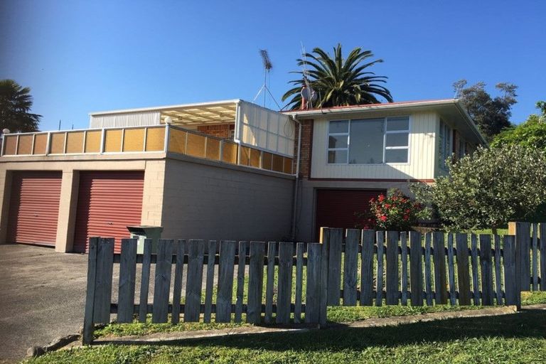 Photo of property in 17 Galway Crescent, Putaruru, 3411