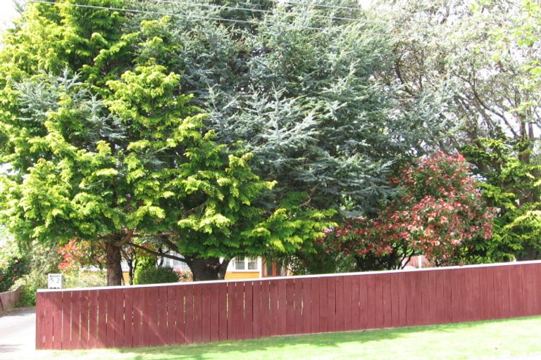 Photo of property in 52 Hinekura Avenue, Taupo, 3330