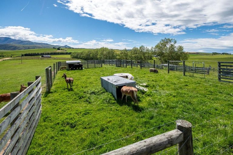 Photo of property in 4 Mount Michael Road, Middle Valley, Fairlie, 7987