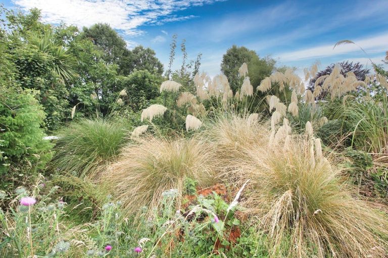 Photo of property in 48 Alma Street, Wyndham, 9831