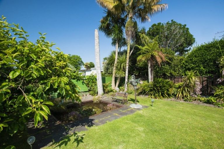 Photo of property in 18 James Street, Mangapapa, Gisborne, 4010