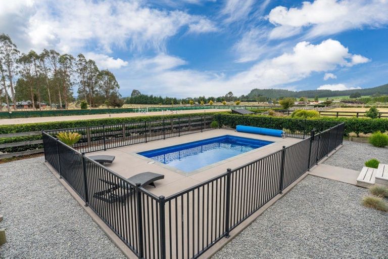 Photo of property in 341 White Road, Broadlands, Reporoa, 3081