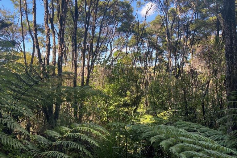 Photo of property in 1329 Hibiscus Coast Highway, Puhoi, Warkworth, 0994