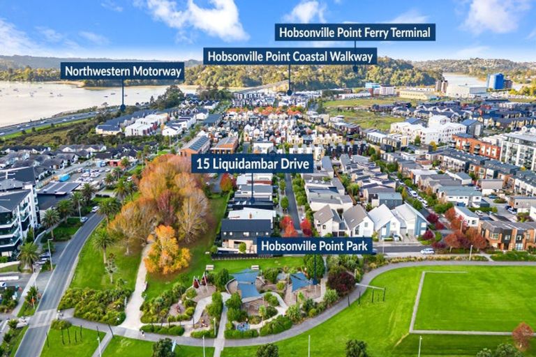 Photo of property in 15 Liquidambar Drive, Hobsonville, Auckland, 0616