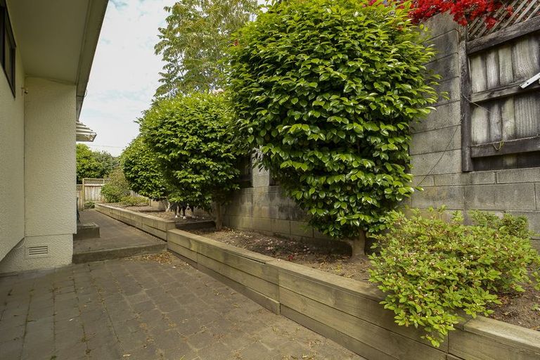 Photo of property in 19b Bellevue Road, Brookfield, Tauranga, 3110