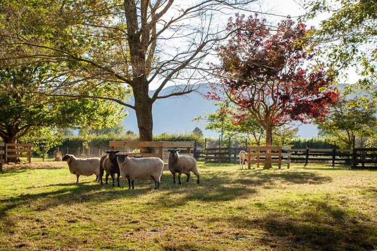 Photo of property in 985 Tower Road, Turangaomoana, Matamata, 3471