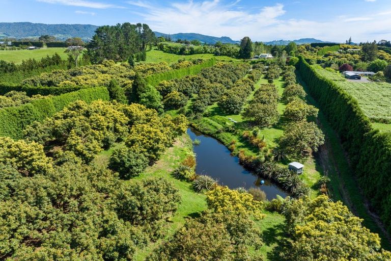 Photo of property in 39 Hot Springs Road, Tahawai, Katikati, 3178