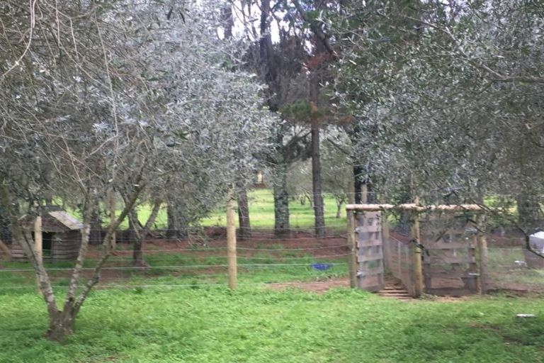 Photo of property in 4560 Pouto Road, Pouto, Te Kopuru, 0391