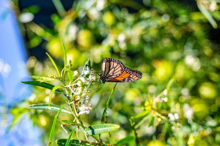 Photo of property in 72 Elizabeth Street, Waikanae, 5036