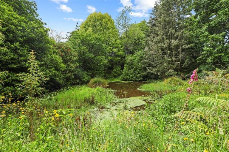 Photo of property in 488 Tapuwae Road, Maniaiti / Benneydale, Te Kuiti, 3987