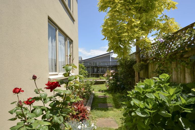 Photo of property in 29b Myres Street, Otumoetai, Tauranga, 3110