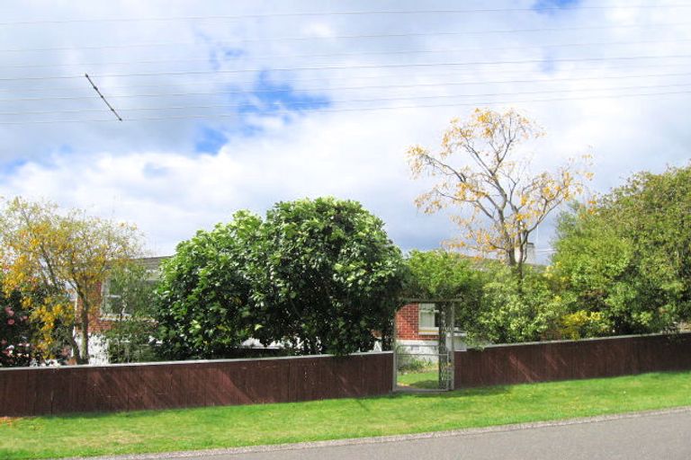 Photo of property in 50 Hinekura Avenue, Taupo, 3330