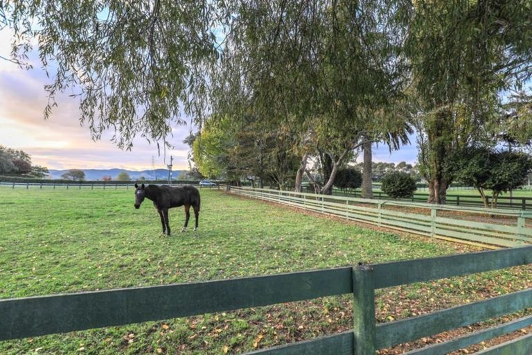 Photo of property in 228 Keith Road, Waerenga, Te Kauwhata, 3781