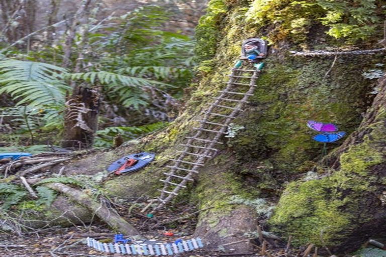 Photo of property in 7 Mead Lane, Horopito, Raetihi, 4696