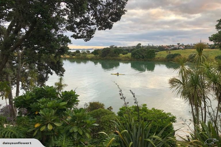 Photo of property in 5a Lynch Street, Point Chevalier, Auckland, 1022