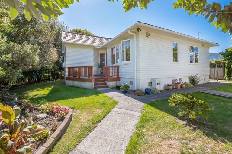 Photo of property in 217 Riverside Drive, Waterloo, Lower Hutt, 5011
