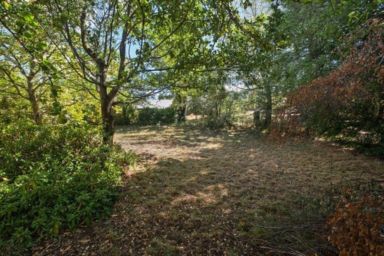 Photo of property in 3 Torlesse Place, Castle Hill, Springfield, 7580